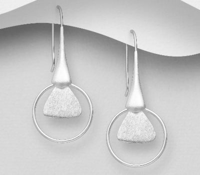 925 Sterling Silver Hook Earrings