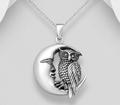 Malın səhifəsinə keç 925 Sterling Silver Oxidized Moon and Owl Pendant
