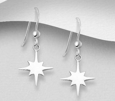 925 Sterling Silver Hook Star Earrings