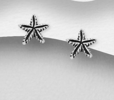 Malın səhifəsinə keç 925 Sterling Silver Oxidized Starfish Push-Back Earrings