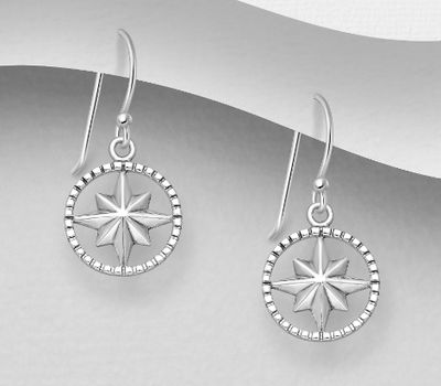 925 Sterling Silver Star Hook Earrings