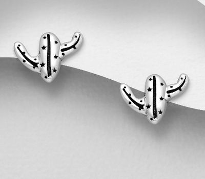 Malın səhifəsinə keç 925 Sterling Silver Oxidized Cactus Push-Back Earrings