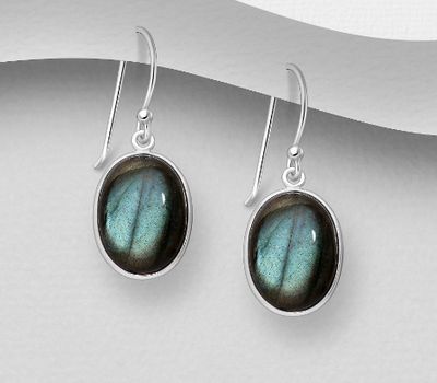 925 Sterling Silver Oval Hook Earrings, Decorated with Various Gemstones