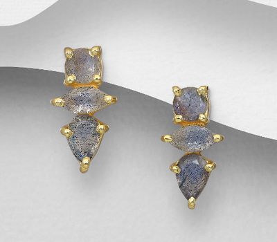 Desire by 7K - 925 Sterling Silver Push-Back Earrings, Decorated with Labradorite, Plated with 0.3 Micron 18K Yellow Gold
