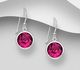 Sparkle by 7K - 925 Sterling Silver Hook Earrings Decorated with Fine Austrian Crystals