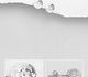 Sparkle by 7K - 925 Sterling Silver Ball Push-Back Earrings Decorated with Fine Austrian Crystals