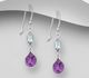 La Preciada - 925 Sterling Silver Hook Earrings, Decorated with Gemstones