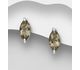 La Preciada - 925 Sterling Silver Push-back Earrings, Decorated with Gemstones