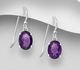 La Preciada - 925 Sterling Silver Hook Earrings, Decorated with various Gemstones